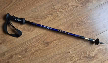 Photo of free Walking pole (Penrith CA11) #1