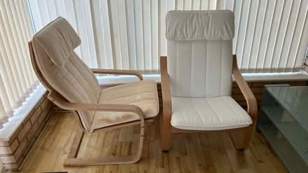 Photo of free IKEA Poang armchairs for upcycling (Old Hurst PE28) #1