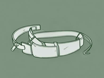 Photo of Dog Harness (Hindley WN2) #1