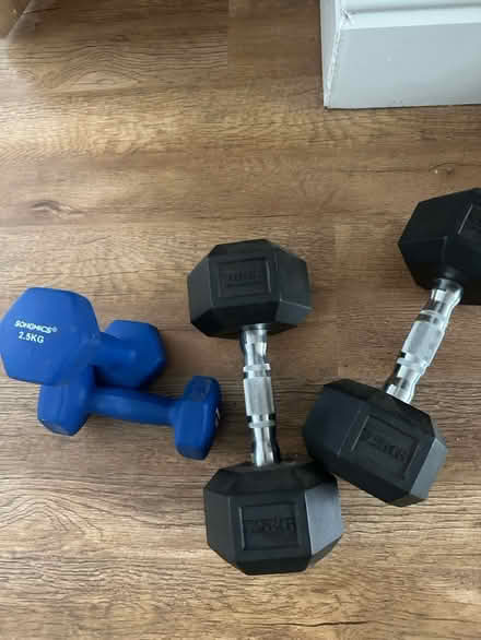 Photo of free Dumb bells (Low Fell NE9) #1