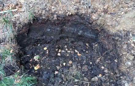 Photo of free Well rotted horse manure (Pant SY10) #1