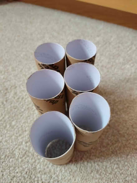Photo of free Empty Toilet Rolls (North Abingdon, OX14) #3