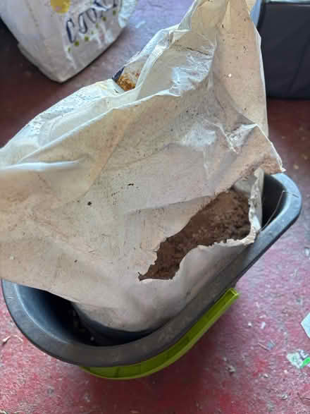 Photo of free Bag of rock salt. Useful for drives (NE34 7hz) #2