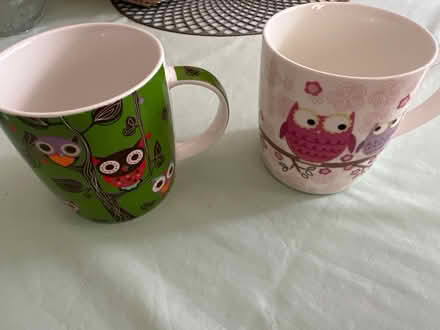 Photo of free Two owl cups (Epping, CM16) #1