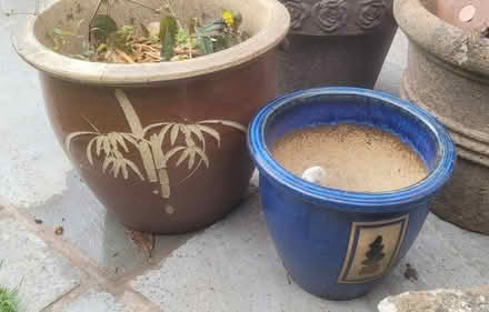 Photo of free Ceramic Garden Pots (St Annes FY8) #3