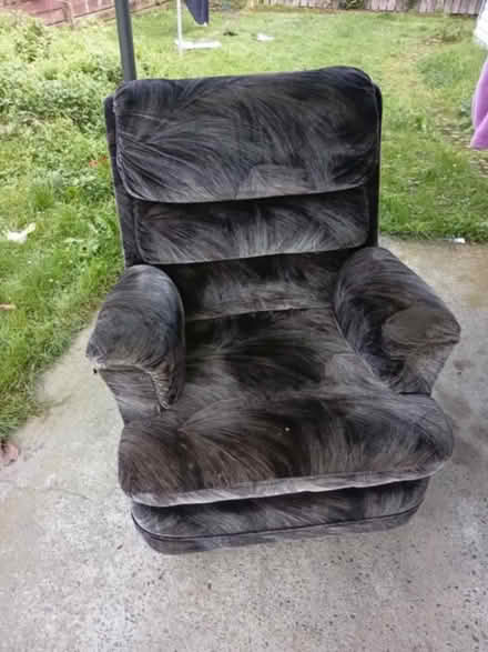 Photo of free Lounge chair (Palmerston North) #1