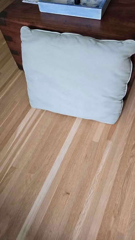 Photo of free 2 sage green cushions (Forest Glen) #1