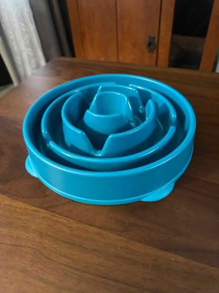 Photo of free Dog Food Bowl to Prevent Gulping (Near Davis Square, Somerville) #1