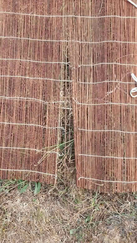 Photo of free Bamboo blind (Exmouth EX8) #2