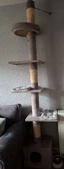 Photo of free Cat towers (Cleehill SY8) #1