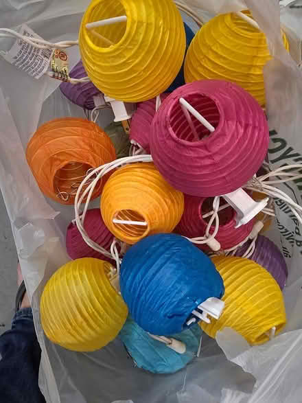 Photo of free Decorative string lights (West Concord MA) #1