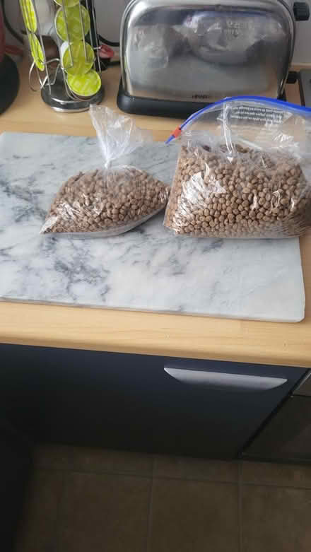Photo of free Cat biscuits (Ilkeston) #1