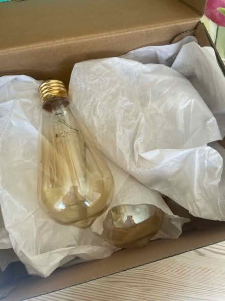 Photo of free Large screw in festoon bulbs (Horningsea CB25) #3