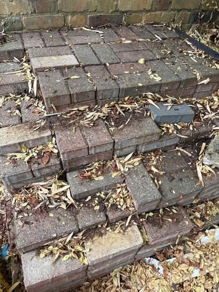 Photo of free Paving Bricks around 300 (Sutton SM2) #1