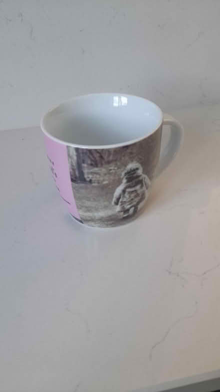 Photo of free Cup (Longton PR4) #4