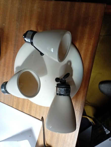 Photo of free Ceiling Lights (Upper Hartfield TN7) #3
