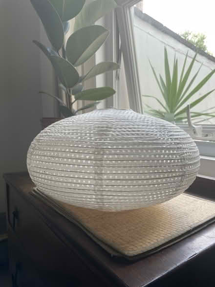 Photo of free Paper lantern lampshade (Greenbank (BS5)) #1
