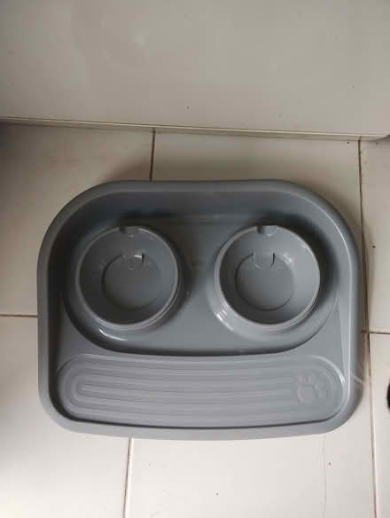 Photo of free Pet feeding (Saint James Ward EX4) #1