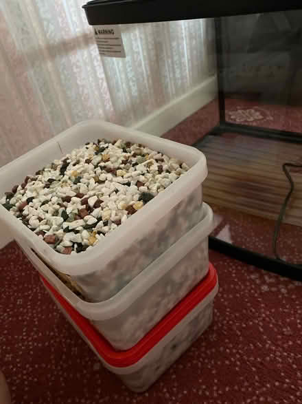 Photo of free Large fish tank (Balsall Common CV7) #3