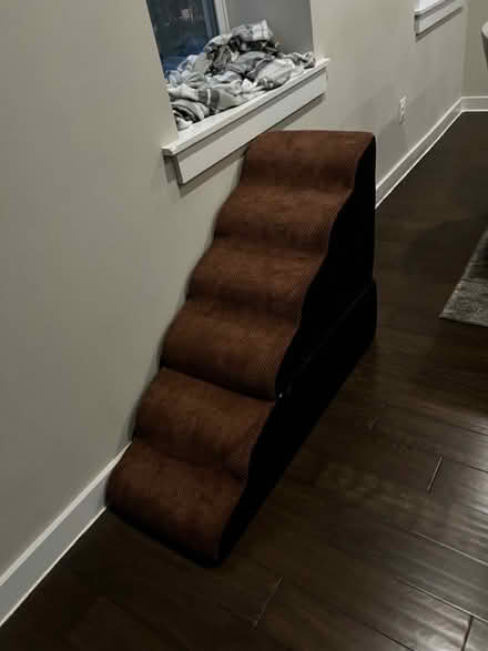 Photo of free Senior cat stairs (Park view\Petworth) #1