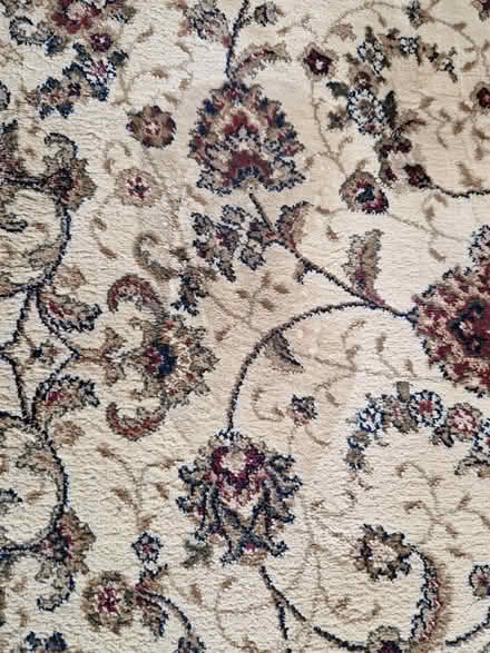 Photo of free Rug (Tilsworth LU7) #3