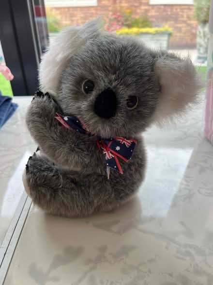 Photo of free Koala soft toy (Westbrook WA5) #1
