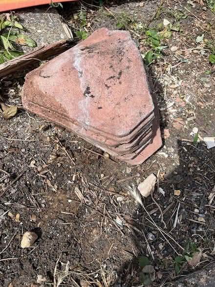 Photo of free Roof tiles (Stotfold SG5) #1