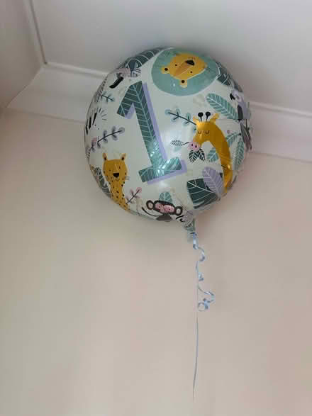 Photo of free First birthday decorations (City Centre NR3) #3