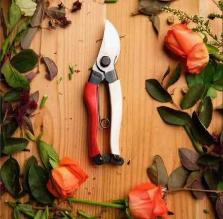 Photo of Pruning shears (Piedmont/Morcom Rose Garden) #1