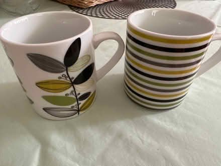Photo of free 2 Next Cups (Epping, CM16) #1