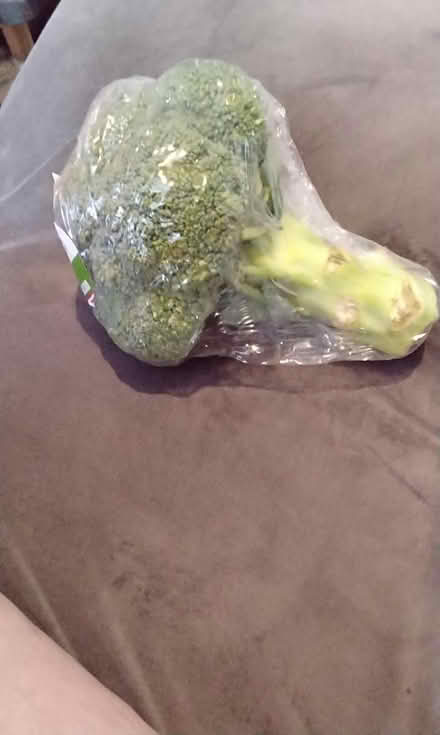 Photo of free Broccoli (Spondon derby) #1