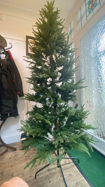 Photo of free Christmas Tree, 7’ M&S (M16 9 WT) #3