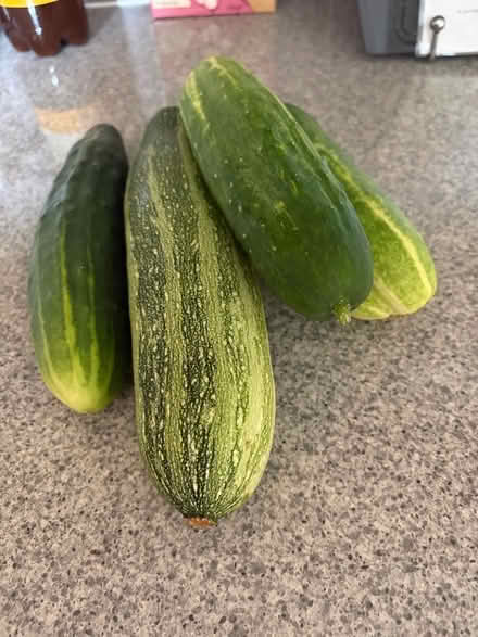 Photo of free Veggies (Lyncombe BA2) #1