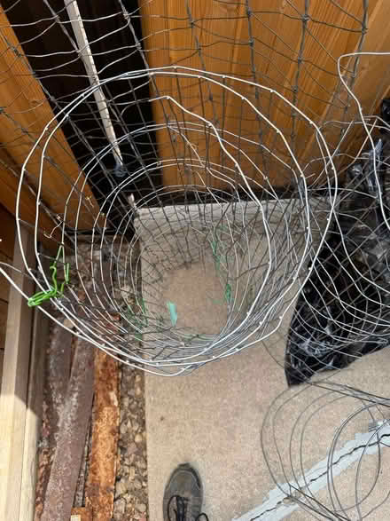Photo of free Metal Garden Fencing / Tomato Cages (Lafayette) #2