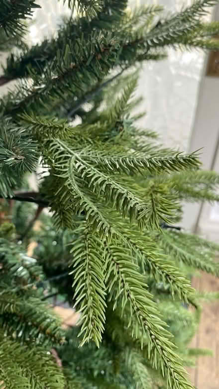 Photo of free Christmas Tree, 7’ M&S (M16 9 WT) #2