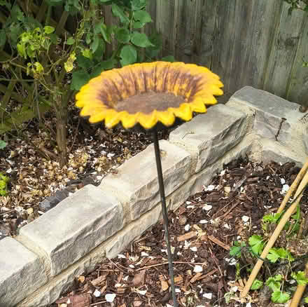 Photo of free Sunflower-design bird feeder (New Marston OX3) #1