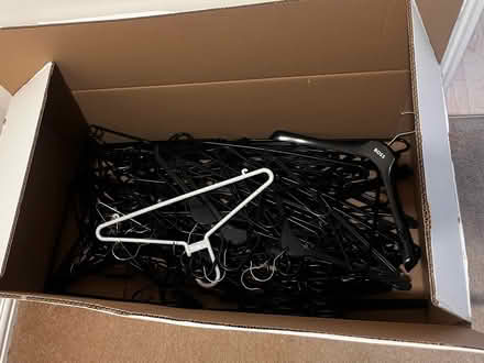 Photo of free Clothes hangers (South Hackney/Victoria E9) #1