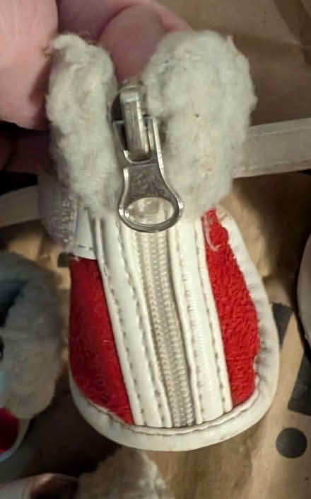 Photo of free Doggie boots size M (Northridge) #2