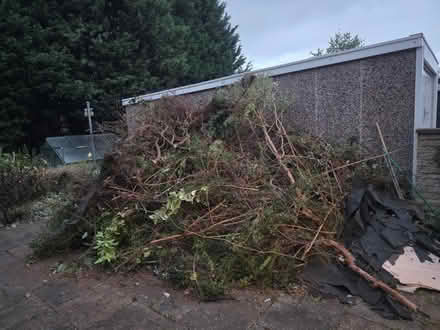 Photo of free Garden Green Waste (Shirecliffe S5) #1