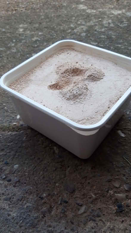 Photo of free Wall plaster powder (Stonydelph B77) #1