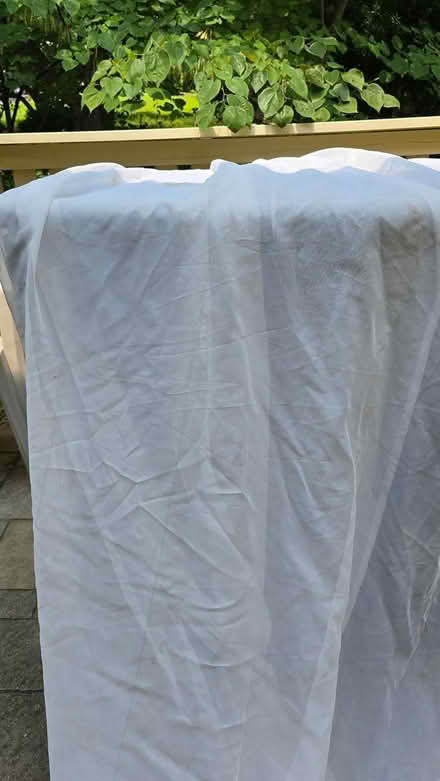 Photo of free Curtains=garden row covers (Forest Glen) #1