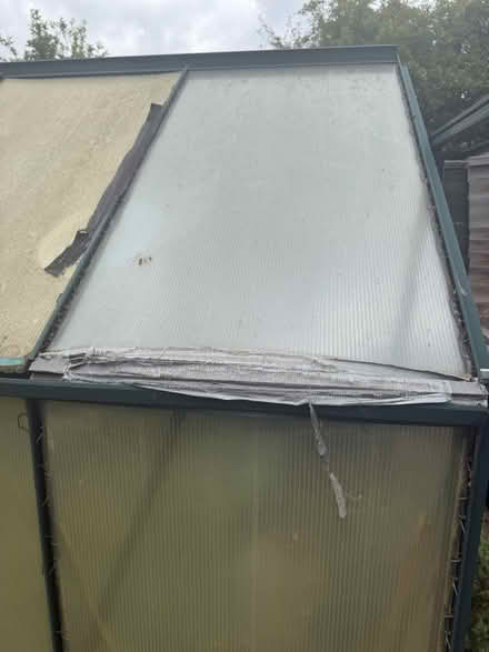 Photo of free Greenhouse (London Colney AL2) #4