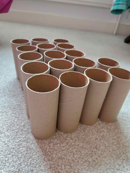 Photo of free Empty Toilet Rolls (North Abingdon, OX14) #2