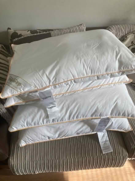 Photo of free 4 Feather and down pillows (Tyburn B24) #1