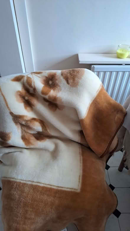 Photo of free Big thick blanket/throw. (Sherrard's Green WR14) #1