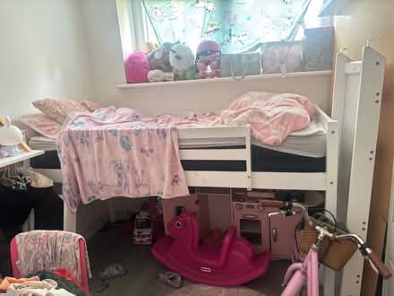 Photo of free High rise bed with slide (Chislehurst) #2