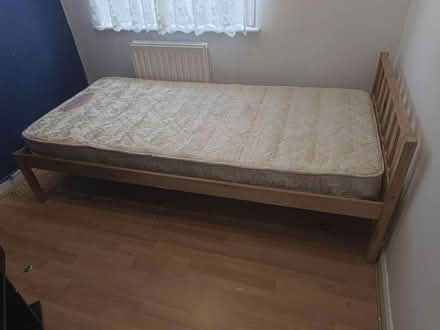 Photo of free Single bed and mattress (Rushmere St Andrew IP4) #3