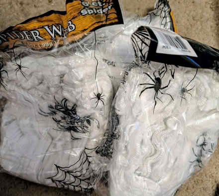 Photo of free Halloween decor #1 (Northridge) #3