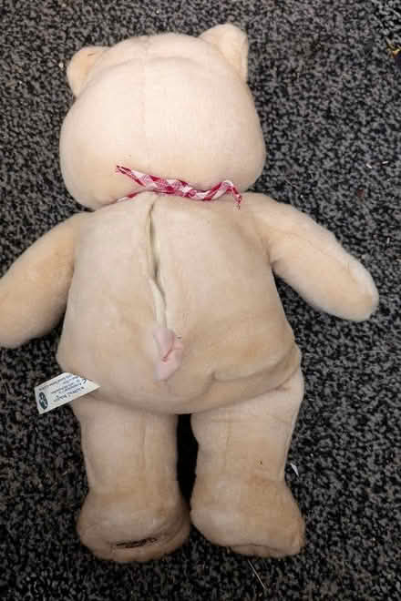 Photo of free Little Pig Soft Toy (Holmewood BD4) #3