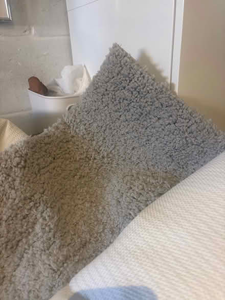 Photo of free Large soft rug (Central St Leonards TN38) #1
